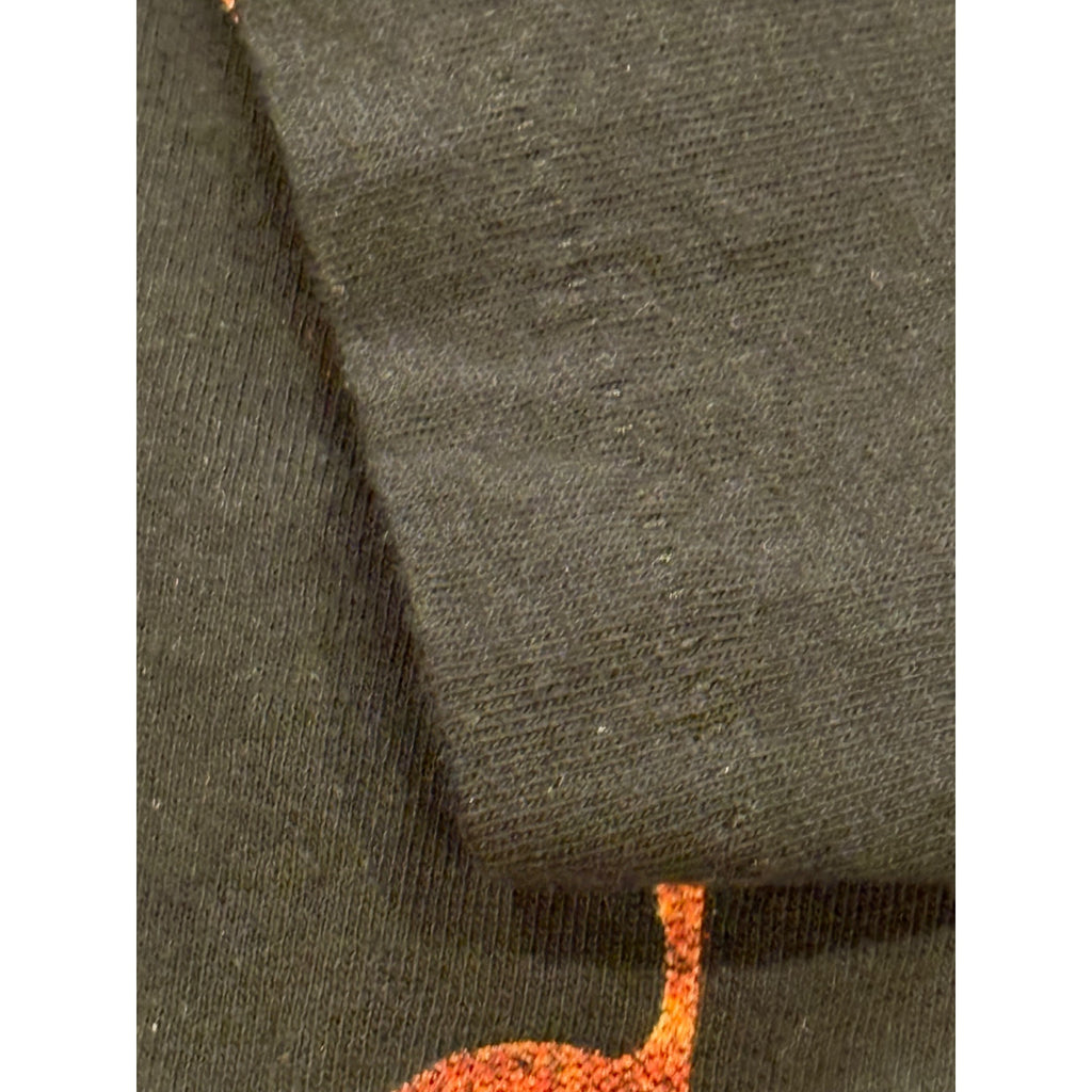 Vintage 1999 Bruce Springsteen & The E Street Band Tour T-Shirt Men's Large