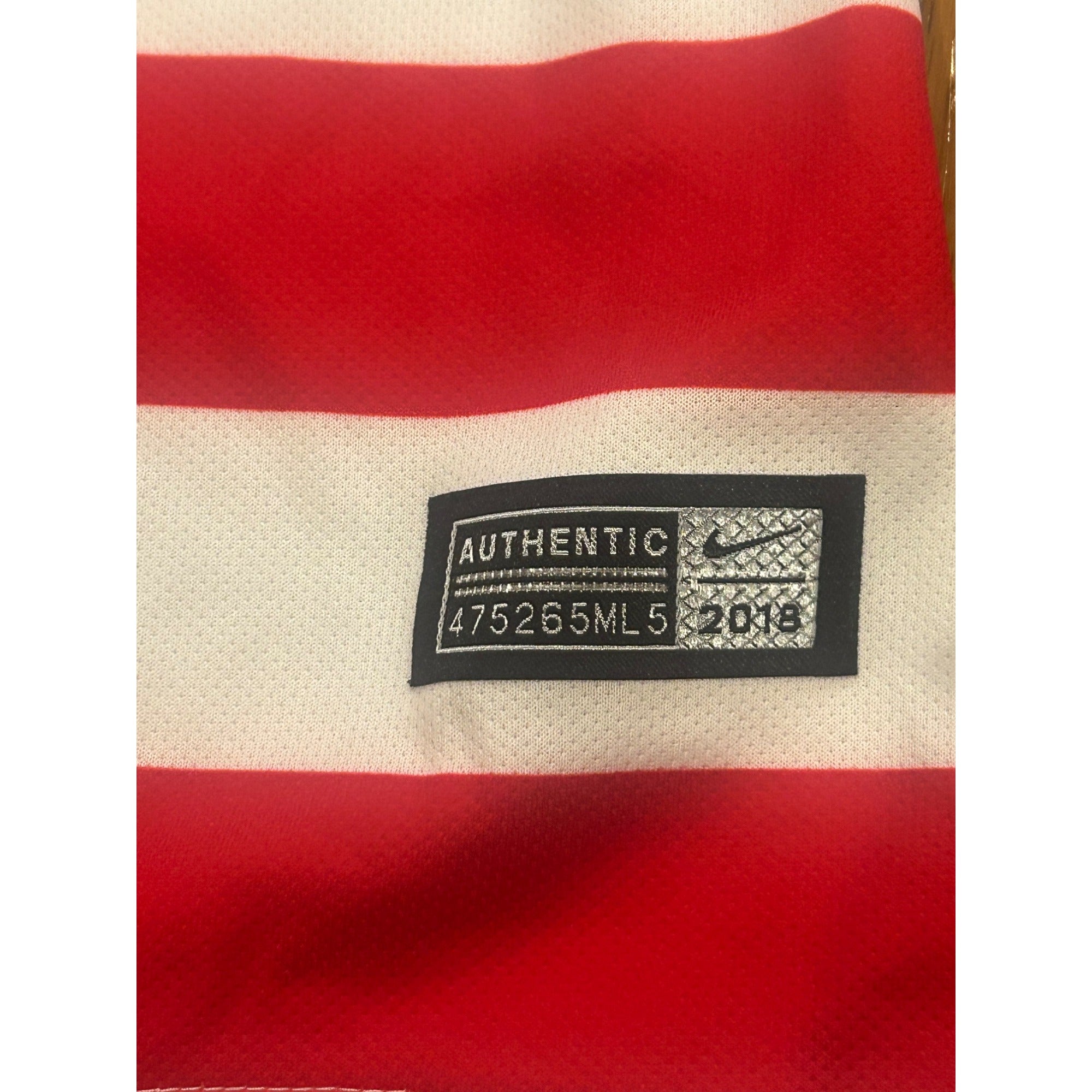 Nike 2018 United States Women's National Soccer Team Home Kit Soccer Jersey L