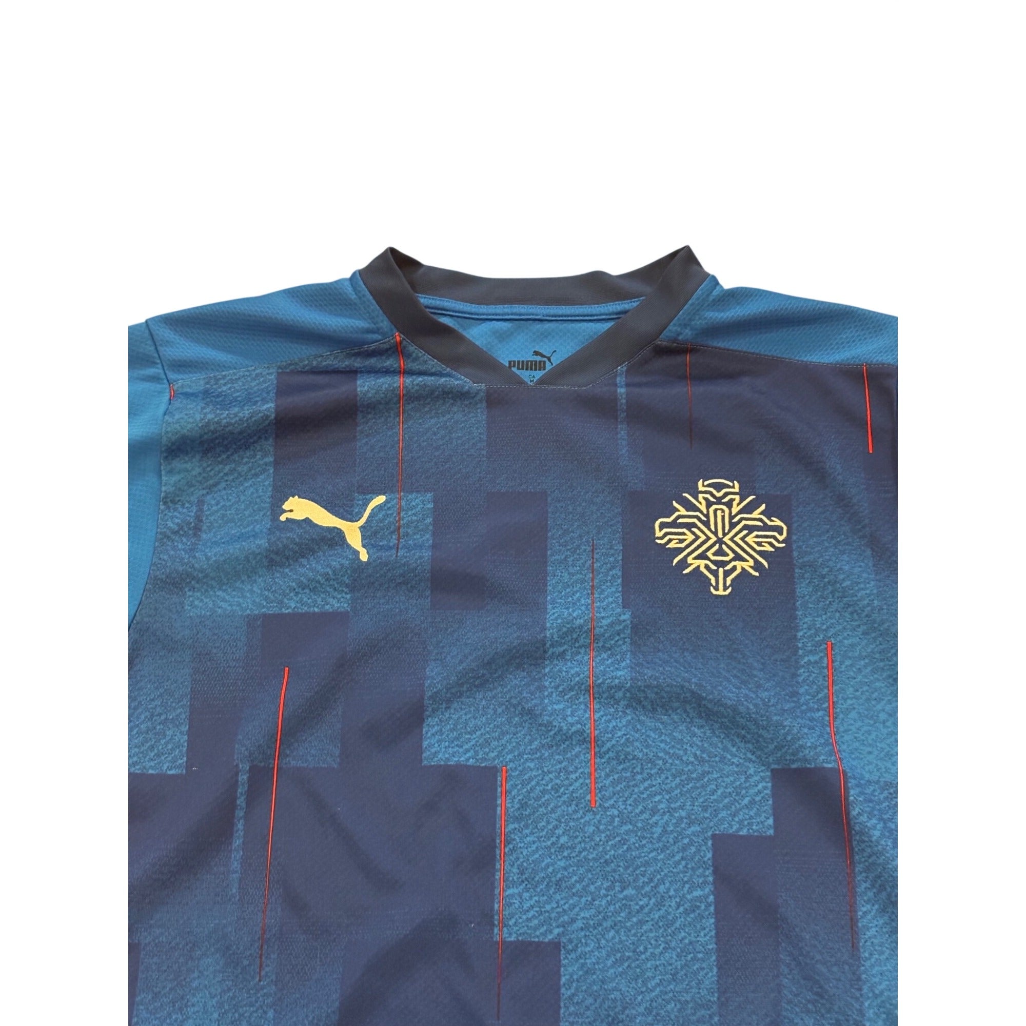 Puma 2020 Iceland National Football Team Home Kit Soccer Jersey Men's Medium