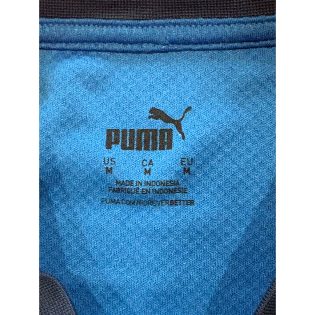 Puma 2020 Iceland National Football Team Home Kit Soccer Jersey Men's Medium