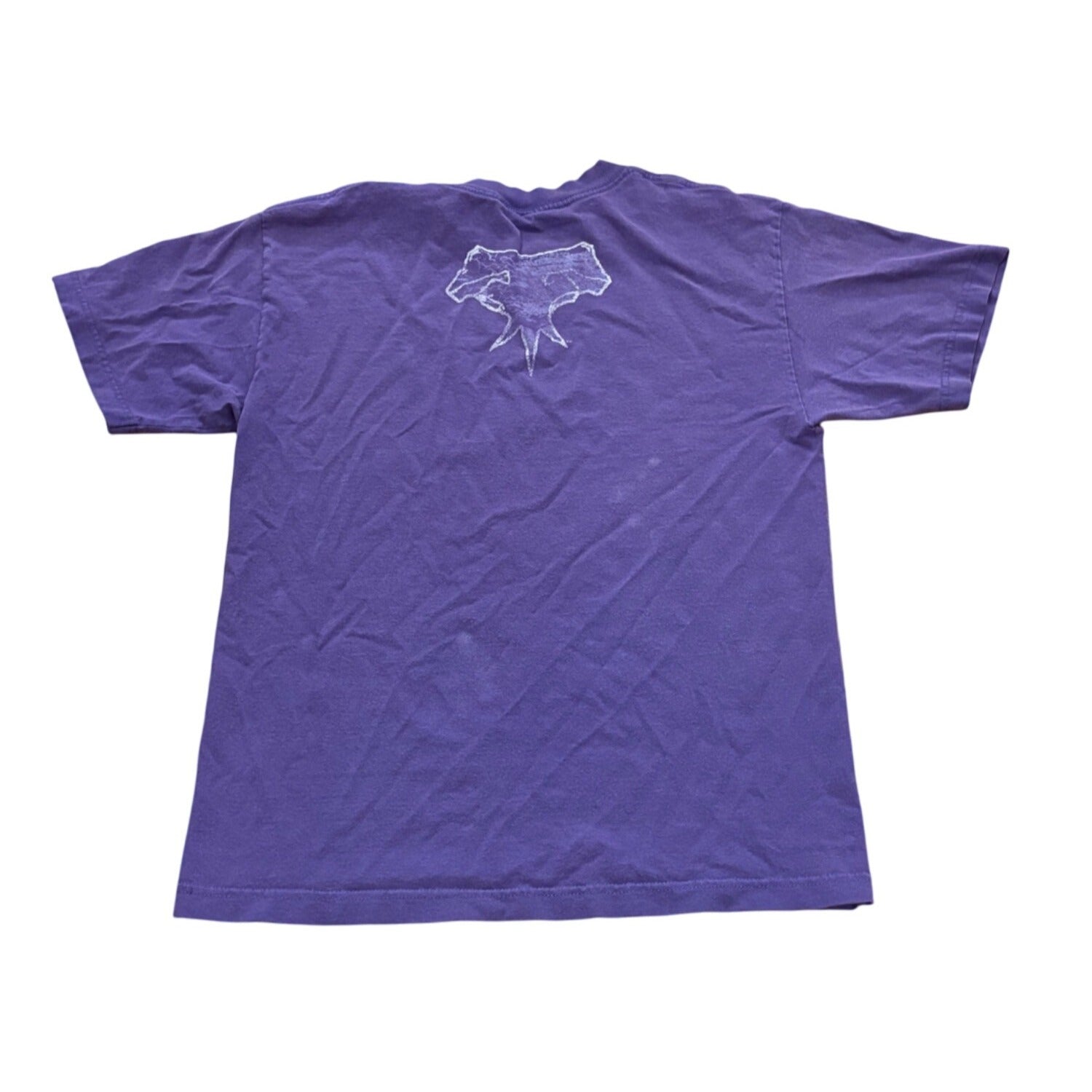 Vintage 2000's WWE The Undertaker Wrestling T-Shirt Purple Men's Small