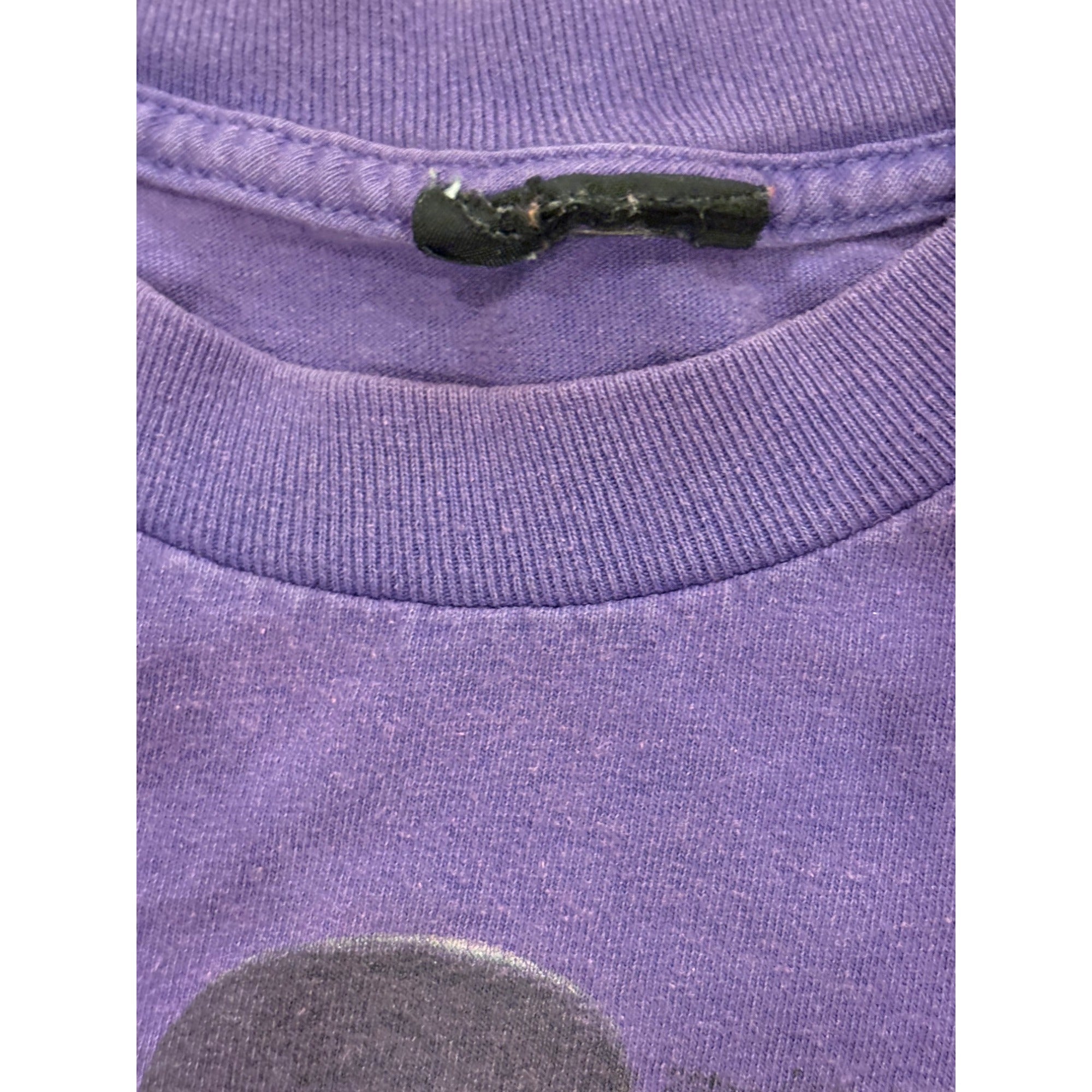 Vintage 2000's WWE The Undertaker Wrestling T-Shirt Purple Men's Small