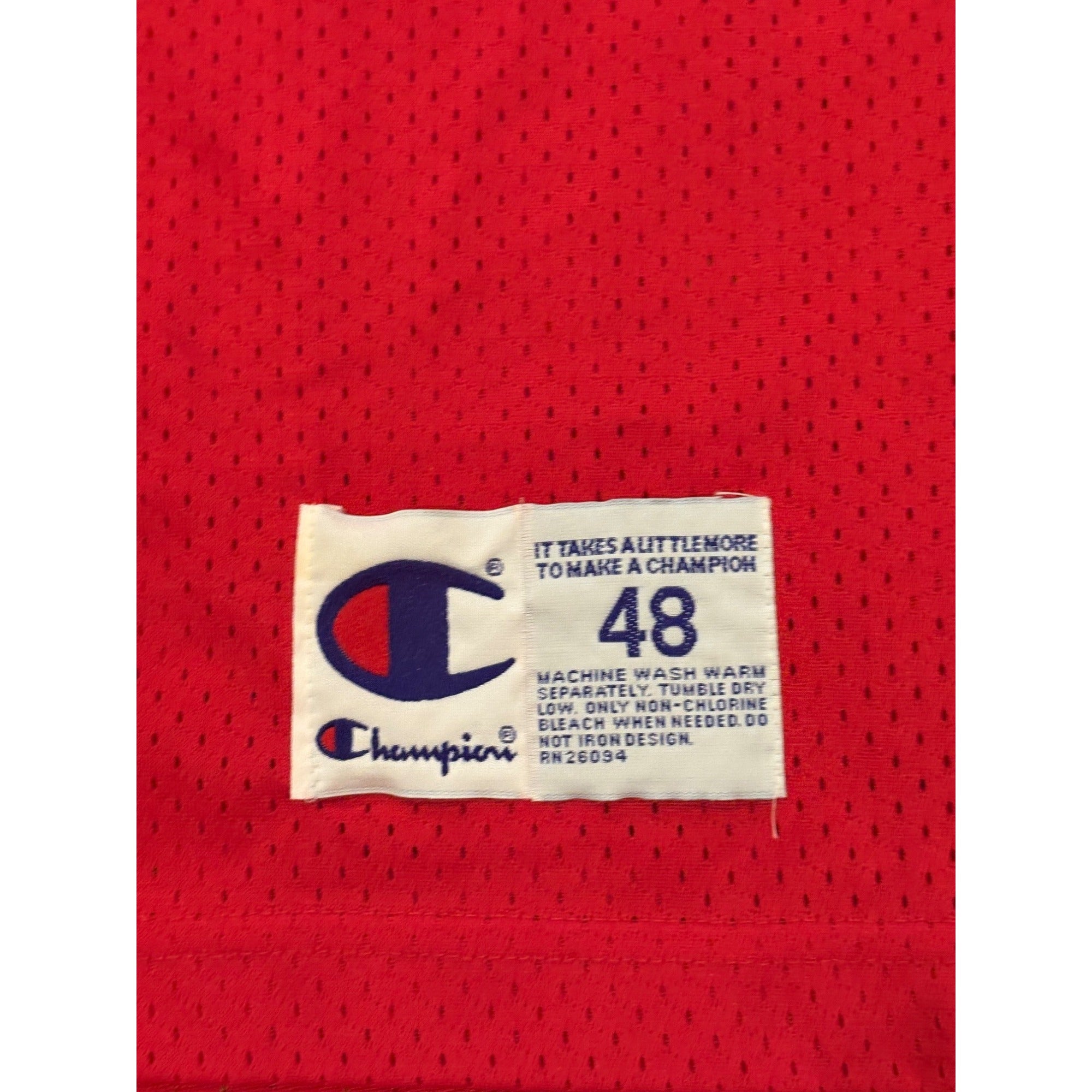 Vintage 90's Champion Tampa Bay Buccaneers Warrick Dunn #28 NFL Jersey Men's 48