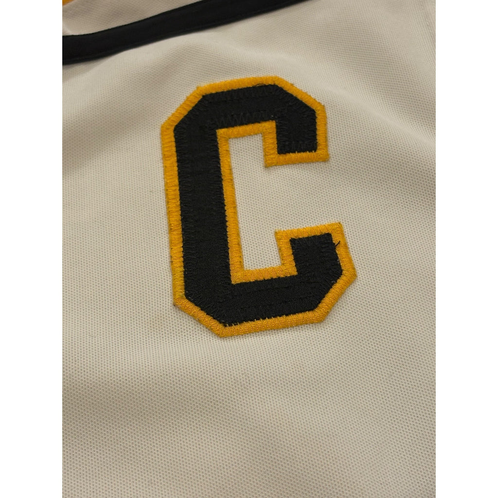 1992-1993 CCM Center Ice Pittsburgh Penguins Mario Lemieux #66 Jersey Men's 48